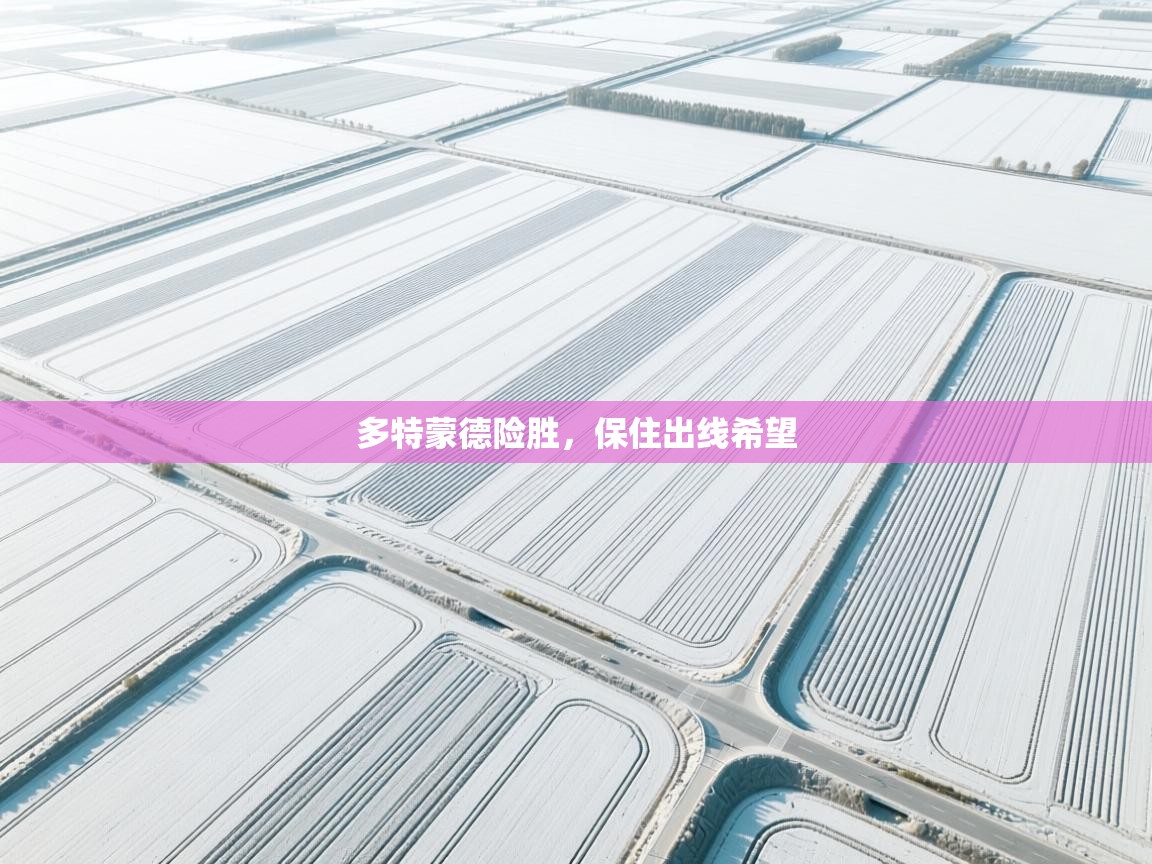 多特蒙德险胜，保住出线希望