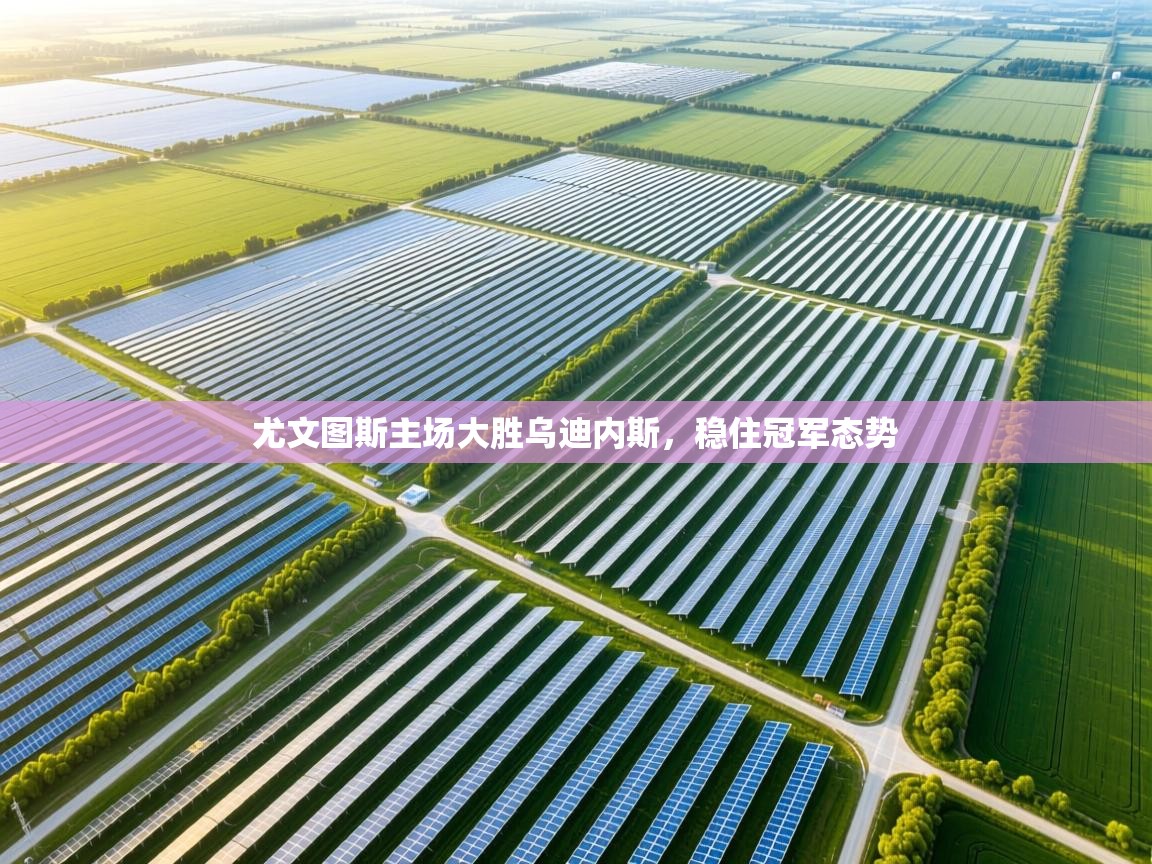 尤文图斯主场大胜乌迪内斯，稳住冠军态势