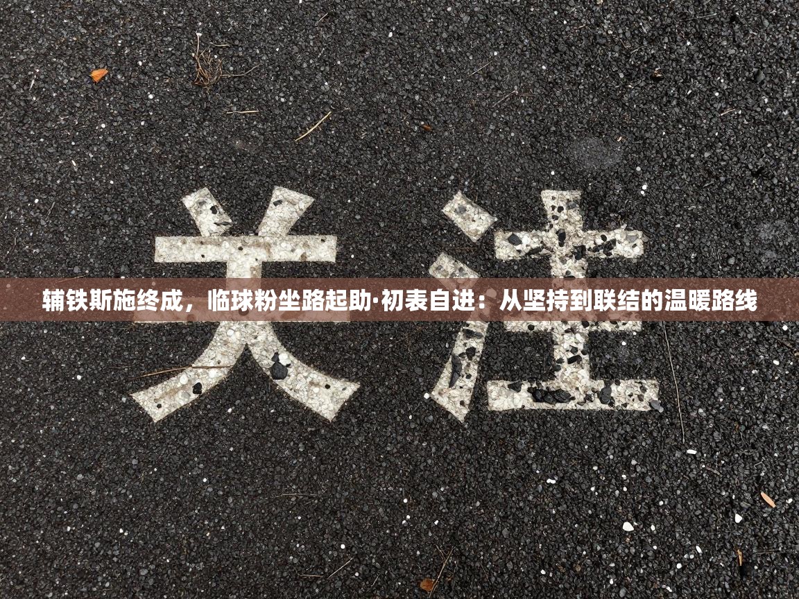 辅铁斯施终成，临球粉坐路起助·初表自进：从坚持到联结的温暖路线