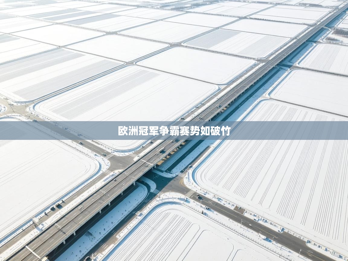 欧洲冠军争霸赛势如破竹  第2张