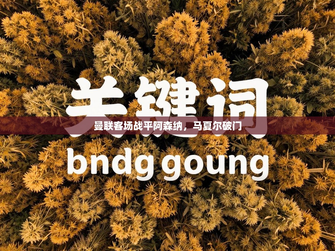 曼联客场战平阿森纳，马夏尔破门